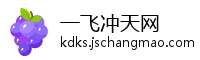 一飞冲天网